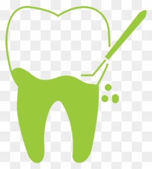Orthodontics Experts